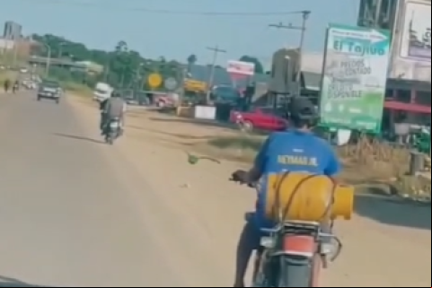 lorito y motociclista